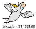 イラスト素材 コウノトリ 23496365