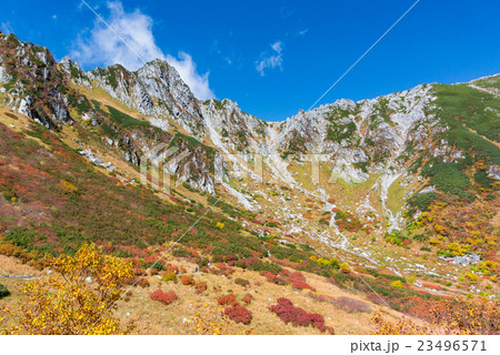 千畳敷カールとナナカマドの紅葉 千畳敷カールとナナカマドの紅葉 23496571