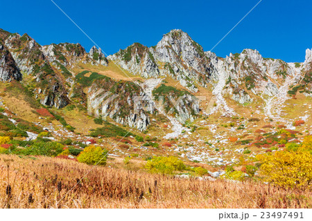 千畳敷カールの草紅葉 23497491