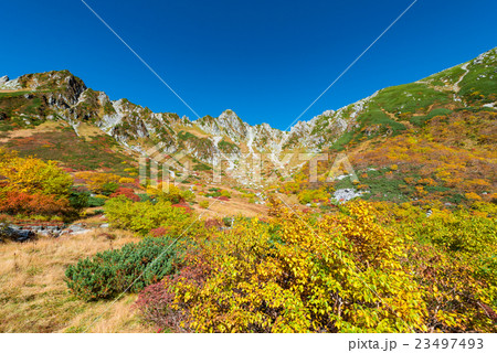 千畳敷カールの色づき 23497493