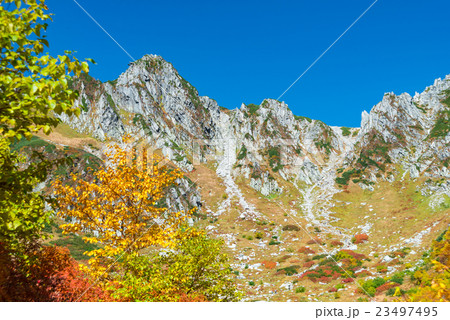 宝剣岳の紅葉 23497495