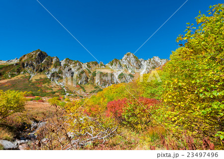 ダケカンバと宝剣とサギダルの頭 23497496