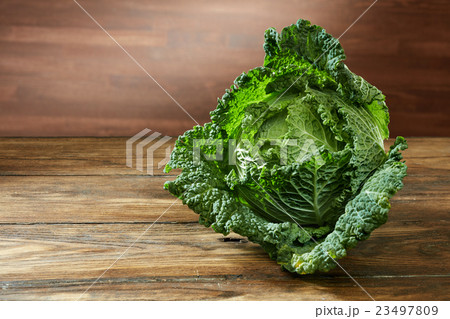 Single head of Savoy cabbage Single head of Savoy cabbage 23497809