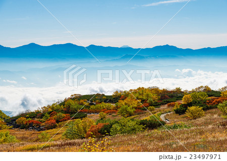 千畳敷から望む富士山 23497971