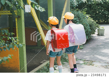 primary school child 23498171