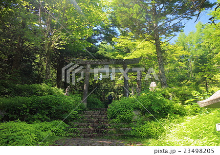 富士山吉田口登山道　馬返の石造鳥居 23498205
