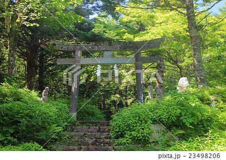 富士山吉田口登山道　馬返の石造鳥居 23498206