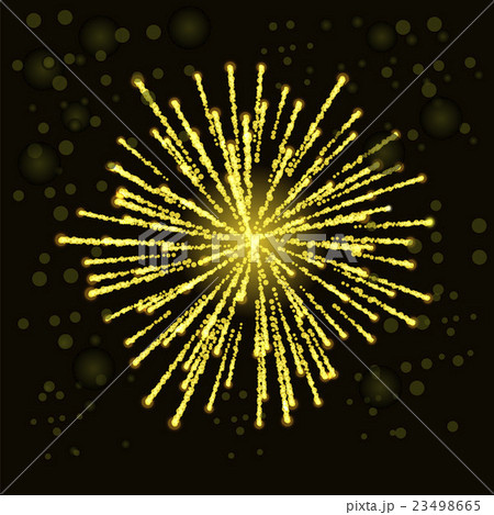 Firework Lights up the Sky 23498665