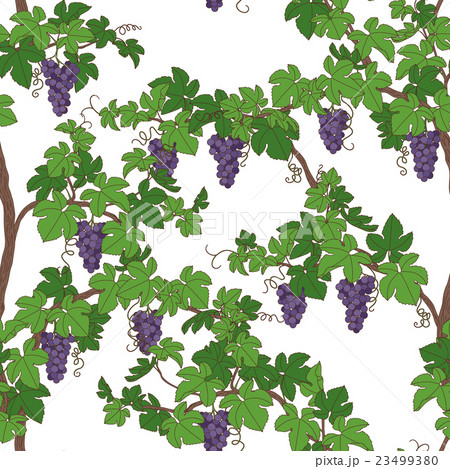Seamless pattern with grapes Seamless pattern with grapes 23499380
