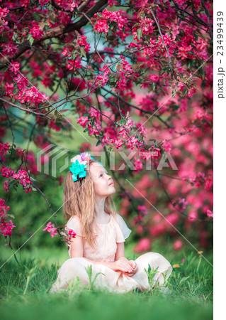 Adorable little girl in beautiful blooming apple Adorable little girl in beautiful blooming apple 23499439