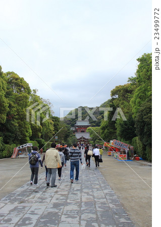 鶴岡八幡宮の境内 23499772