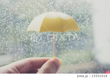 雨傘 雨傘 23501018