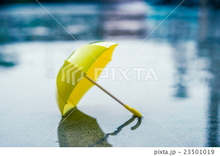 雨傘 雨傘 23501019