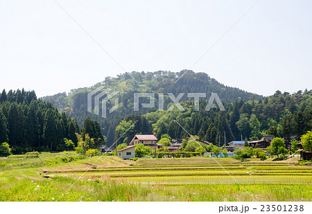 春日山城跡 23501238