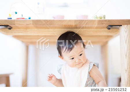 テーブルの下にいる赤ちゃん テーブルの下にいる赤ちゃん 23501252