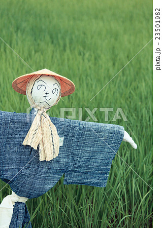 見沼田んぼの案山子 見沼田んぼの案山子 23501982
