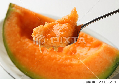 夕張メロン 23502034