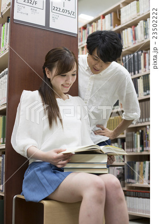 図書館で座って読書 図書館で座って読書 23502222