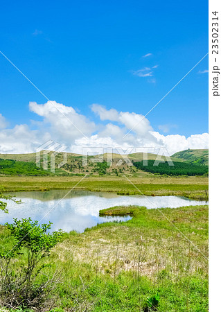 八島ヶ原湿原 (29) 八島ヶ原湿原 (29) 23502314
