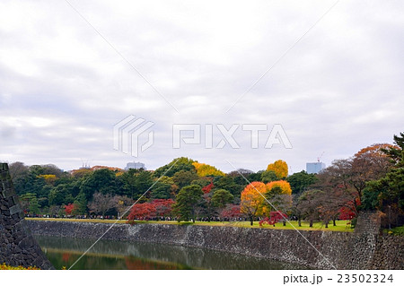 皇居北桔橋門から見た紅葉風景 皇居北桔橋門から見た紅葉風景 23502324