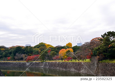 皇居北桔橋門から見た紅葉風景 皇居北桔橋門から見た紅葉風景 23502325