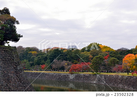 皇居北桔橋門から見た紅葉風景 23502328