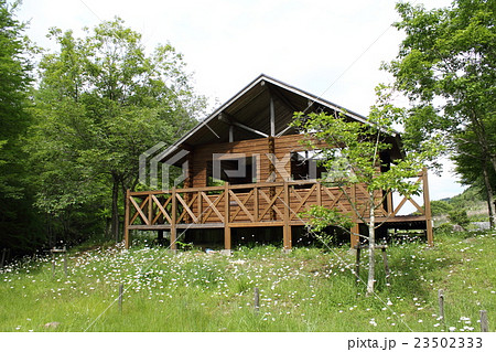 母子大池湖畔 23502333