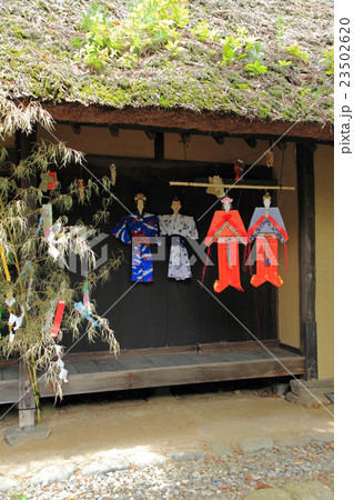 長野県史跡 釜井庵の七夕飾り 長野県史跡 釜井庵の七夕飾り 23502620