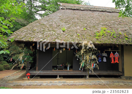 長野県史跡　釜井庵の七夕飾り 23502623