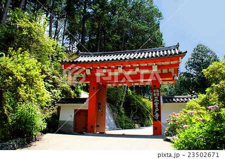 京都三室戸寺 23502671