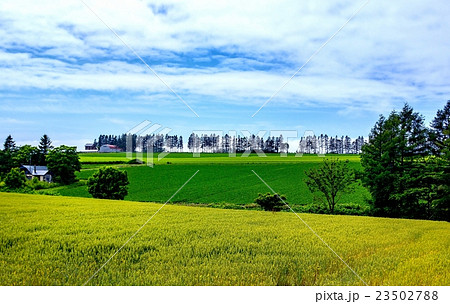 感動の径　（網走市）　 23502788