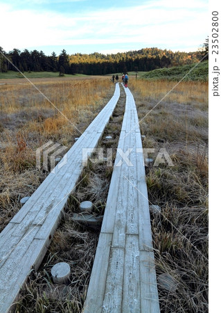 早朝の尾瀬・大江湿原を行くハイカー 23502800
