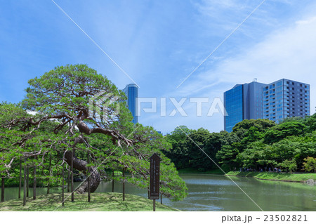 小石川後楽園 小石川後楽園 23502821