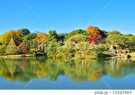 秋の六義園 秋の六義園 23502904