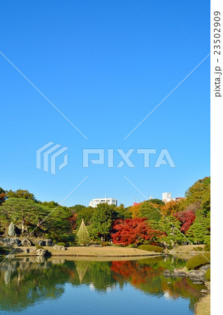 秋の六義園 23502909