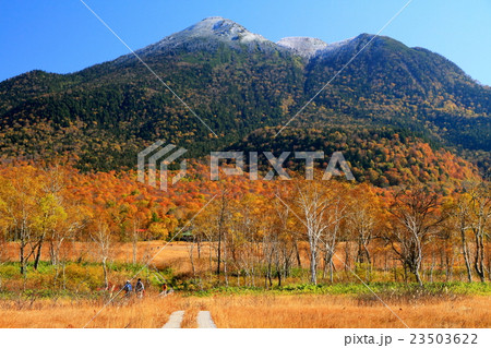 紅葉の尾瀬ヶ原を行く登山者と新雪の燧ケ岳 23503622