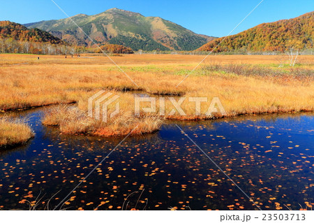 尾瀬ヶ原・竜宮付近の池塘と至仏山 23503713