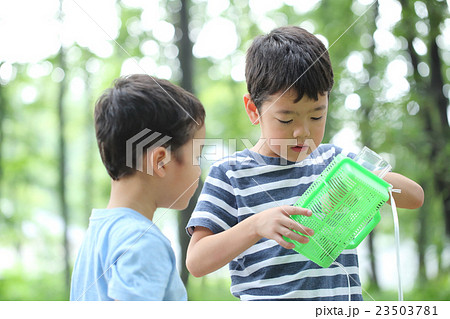 虫取りをする子ども 虫取りをする子ども 23503781