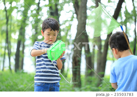 虫取りをする子ども 23503783
