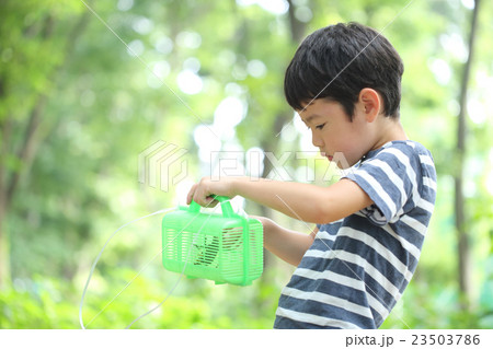 虫取りをする子ども 虫取りをする子ども 23503786
