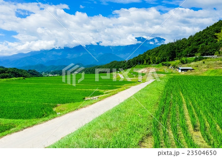 初夏の農村風景 (100) 23504650