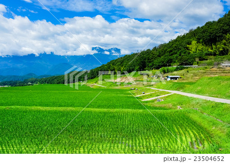 初夏の農村風景 (102) 23504652