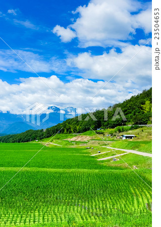 初夏の農村風景 (103) 23504653