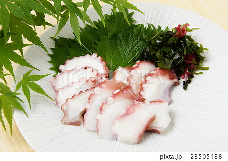 タコ刺身 23505438