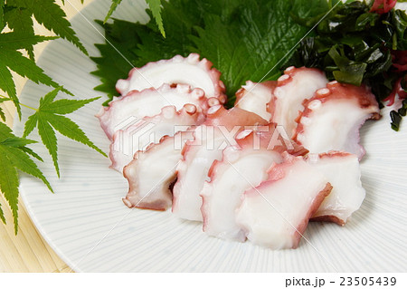 タコ刺身 タコ刺身 23505439