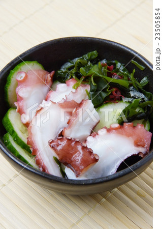 タコの酢の物 23505854