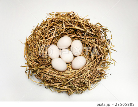 Duck Eggs. Duck Eggs. 23505885
