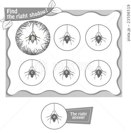 find right shadow spiderbv find right shadow spiderbv 23506519