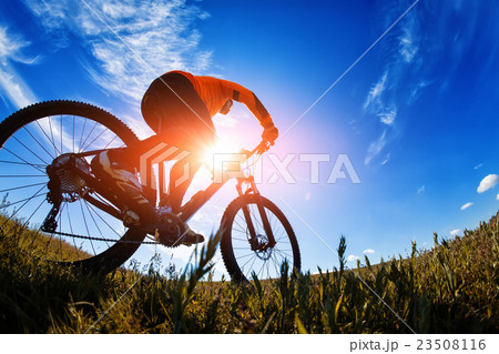 Cyclist on the Beautiful Meadow Trail 23508116