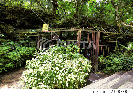 山梨県 西湖コウモリ穴 入口 山梨県 西湖コウモリ穴 入口 23508306